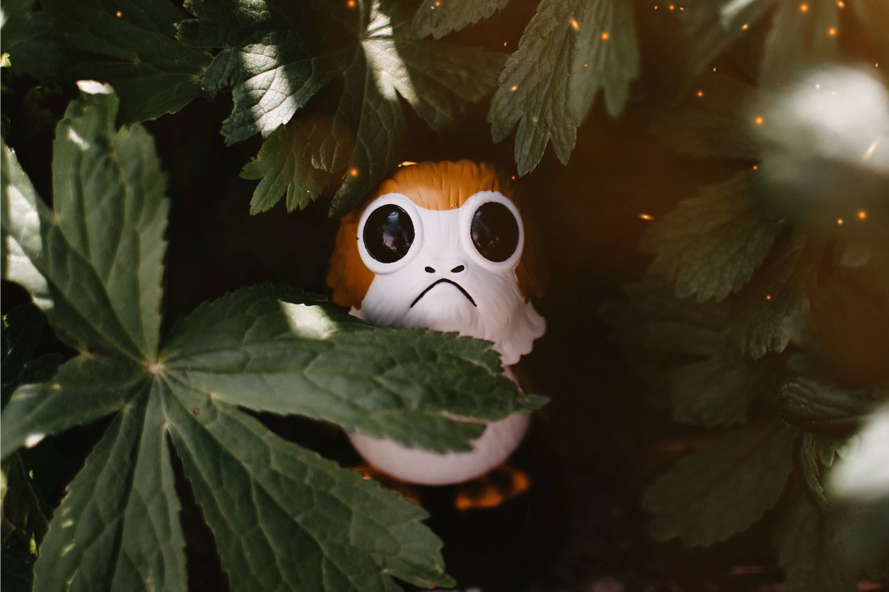 May the Fourth Be With You Young Padawan